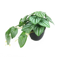 22 feuilles, 15 cm de haut, petit bonsaï artificiel, décoration intérieure, fausse plante miniature