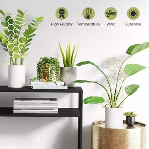 <span class=keywords><strong>Support</strong></span> de plante grimpante en <span class=keywords><strong>bois</strong></span> moderne de 30 cm, cadre créatif pour plantes grimpantes, <span class=keywords><strong>support</strong></span> de fleurs, <span class=keywords><strong>support</strong></span> de pot de jardin, poteaux de soutien fixes - Product Image 6