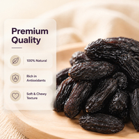 Raisins noirs séchés naturels, gros fruits, vente en gros