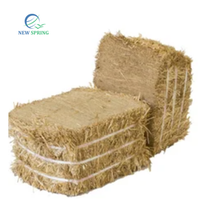 Control de humedad de paja de arroz, productos agrícolas, revestimiento de paja para forraje con soporte de cultivo, paja seca, alta calidad, 100% virgen - Product Image 4