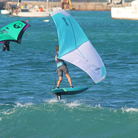 Moule privé Oem Odm personnalisé Waterplay Surf planche de surf en fibre de carbone E Foil Surf WingFoil Wing Hydrofoil Pumping Foil Foil