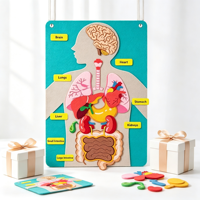 Kits pédagogiques Montessori sur les parties du corps humain pour les tout-petits, jouets d'apprentissage de l'anatomie préscolaire, éducation précoce OEM