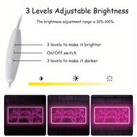 Bonjour magnifique enseigne au néon Rose Led enseigne au néon pour chambre de fille mariage Bachelorette anniversaire femme cadeau Salon de beauté alimenté par USB