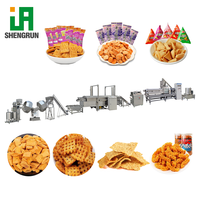 Friteuse Électrique Professionnelle pour Aliments, Machine à Frire les Pani Puri et les Chips de Plantain