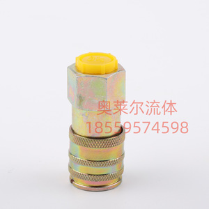 Komatsu <b>Quick</b> <b>Connector</b> For Pressure Testing Hydraulic Pump Excavator Test 1/2 Inch With Chain And Cap - Product Image 2
