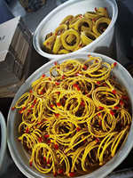 Multiwarna 1ft 3ft 5ft kabel Patch Cat5 Cat6 Cat6A Cat7 Cat8 kabel Internet 4 pasang 24AWG UTP SFTP kabel Patch