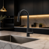 Robinet de cuisine monocommande noir mat avec bec long pivotant, mitigeur moderne sans plomb, économie d'eau, résistant à la rouille