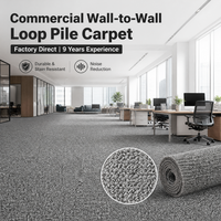 Tapis de salon minimaliste uni grande surface, tapis moderne à boucles, 100% polypropylène écologique pour chambre et maison