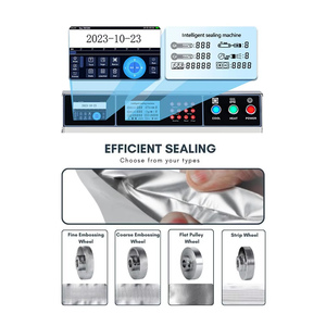 Tepps hiệu quả và đáng tin cậy tự động bên ngoài máy đóng gói chân không chức năng làm đầy cho bao bì túi - Product Image 6