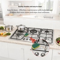 Cuisinière à gaz multifonctionnelle en acier inoxydable, portable et encastrable, à brûleurs multiples, au gaz liquéfié – En stock – Offre spéciale