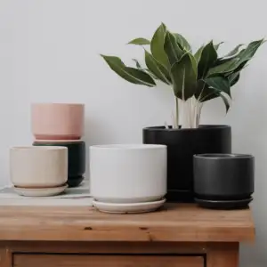 Potes de plantas com cores marfim, conjunto de 3 vasos de plantas de cerâmica redondos com suculentas para plantas