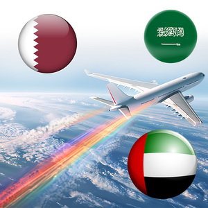 Agente de Transporte Aéreo DDP, Servicio de Envío Puerta a Puerta, Envío Aéreo Exprés a Qatar, Emiratos Árabes Unidos y Arabia Saudita - Product Image 1