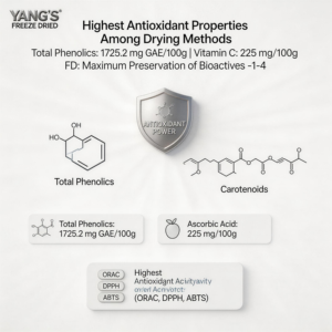 Gedroogde <span class=keywords><strong>mango</strong></span> poeder 100% puur, geen toevoegingen, voedingskwaliteit, rijke geur, wateroplosbaar, bulk, voor gezonde voeding, dranken, export - Product Image 5
