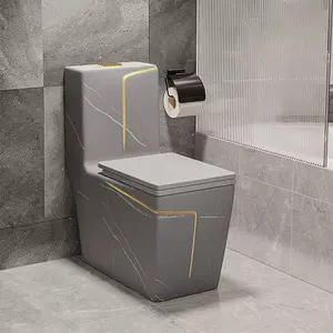 Design de luxe carré coloré moderne salle de bain, placard à eau, cuvette de toilette commode, toilette en céramique monobloc avec ligne dorée