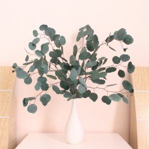 Ouverture d'un nouveau magasin: plante d'<span class=keywords><strong>eucalyptus</strong></span> en argent dollar décoration plante en feuille d'<span class=keywords><strong>eucalyptus</strong></span> en soie utilisée pour la décoration de mariage - Product Image 4