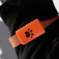 Nouveauté Détecteur d'état de santé des animaux de compagnie 4g Mini collier de suivi de santé GPS pour chien avec application gratuite