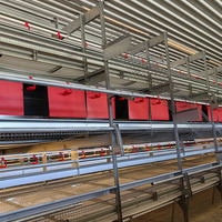 Exclusivement pour l'Europe et l'Australie cages pour poules pondeuses poules pondeuses les cages pour poules pondeuses peuvent marcher librement