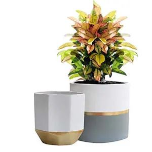 便宜的装饰白色陶瓷花盆花园播种机6.5英寸室内植物容器，带有金色和灰色的细节