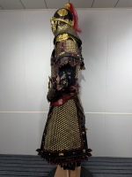 Vestes et Manteaux de Guerrier Chinois Ancien avec Chaîne Dorée, Bordure Noire et Rouge, Plume Rouge, Casque Doré pour Hommes
