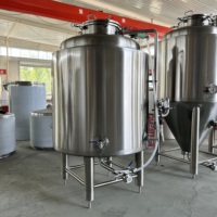 Cuve de brassage brillante 300L en SUS304 avec enveloppe à fossettes, Cuve de stockage BBT à vendre