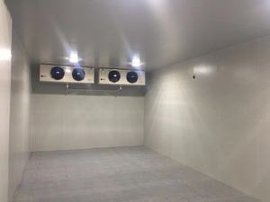 Cámara Frigorífica para la Conservación de Zanahorias y Vegetales con Paneles Solares, Compresores Copeland/Emerson, Control Digital y Control Remoto - Product Image 5