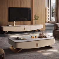 Table basse moderne Xuanzhen, nouveau design, en acier inoxydable, table centrale de luxe, table basse en bois et marbre pour salon