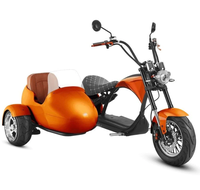Scooter électrique à trois roues pour adultes avec side-car, design pliable, étanche, navigation GPS