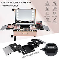 Valise de maquillage en aluminium de 24 pouces avec lumières, valise de beauté avec miroir et lumières, roulante avec pieds