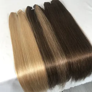 Light Color Straight Virgin Cuticle Aligned Raw Vietnamese Hair Extension Human Hair Bundles Vendor Weft