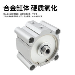 กระบอกสูบลมขนาดใหญ่แบบบาง SDA รุ่น 125/140/160x5x10x15-20-30-40-50-75-100S สำหรับฟาร์ม - Product Image 3