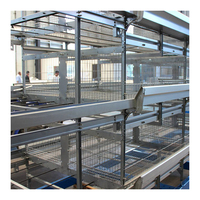 Système de cage de batterie Poulette de poulet Cage de couche de 4 pneus