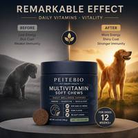 Complément alimentaire multivitaminé pour chiens sous forme de bouchées molles, vitamines quotidiennes pour chiots de plus de 12 semaines, bouchées nutritives essentielles pour chiens OEM ODM