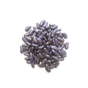 Semillas de cebado revestimiento con perlado pigmento de perla en polvo - Product Image 4