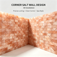 Briques de sel rose de l'Himalaya 100% naturelles, en cristal brut, pour construction murale, salles de sel, sauna, spa, halothérapie