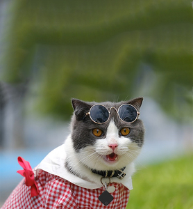 Hot Sale Smart GPS Tag Work with Find My <strong>Tracker</strong> Key Finder Alarm Location <strong>Tracker</strong> <strong>Mini</strong> GPS Car Motor <strong>Tracker</strong> Finder <strong>Device</strong> - Product Image 3