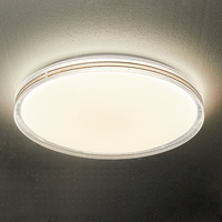 Plafonnier LED moderne en fer pour intérieur, montage en surface, 80W, 3000K, 4000K, 6500K, pour la décoration de la maison