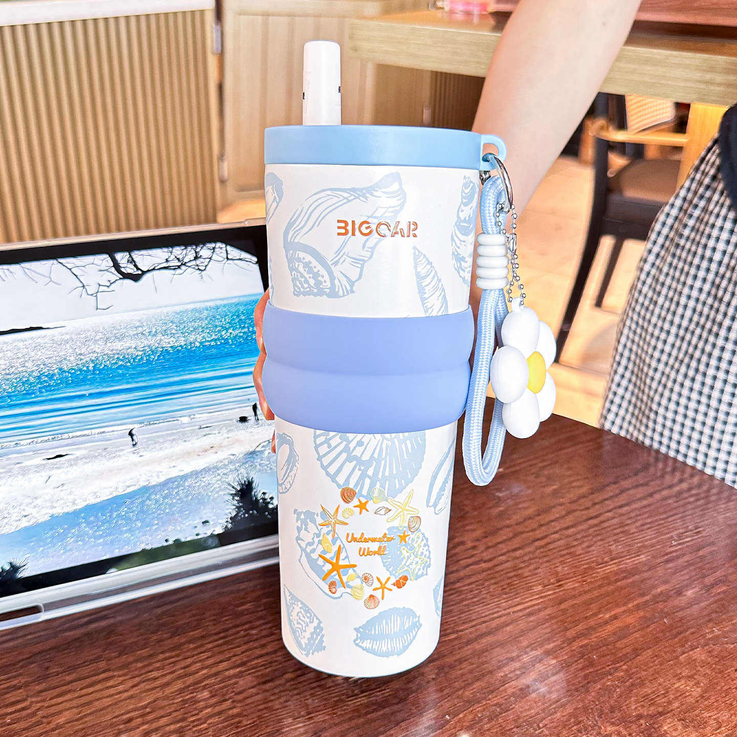 ปลาดาวสีฟ้าอ่อน (ซับในเซรามิก)