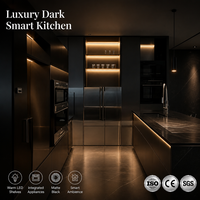 Muebles de Cocina Negros con Iluminación LED Inteligente, Gabinetes Modulares con Acabado Mate, Electrodomésticos Integrados, Conjunto de Muebles B2B