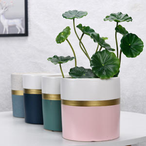 Maceta Cilíndrica para Flores Qita, Maceta Extra Grande para Phalaenopsis, Estilo Nórdico, para Interiores, Orquídea Verde <span class=keywords><strong>Lobo</strong></span>, Moderna, Tigre Piran, China - Product Image 3