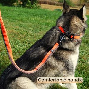 OEM Logo personalizzato retrattile cane corda di piombo con doppio manico Bungee mani libere di sicurezza durevole riflettente addestramento cane guinzaglio - Product Image 5