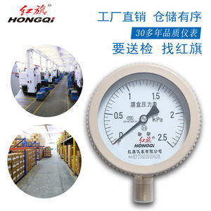 Manomètre à diaphragme HONGQI 100MM YE-100 kPa pour pipeline de gaz naturel avec raccord M20*1.5 - Product Image 4