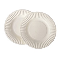 Assiettes en papier de fête blanches jetables écologiques personnalisées de 7, 9 pouces plat en papier Pla biodégradable non couché pour fête d'anniversaire et pâtisserie