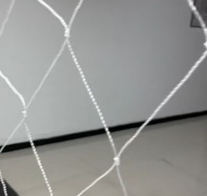 <span class=keywords><strong>Reti</strong></span> per l'Allevamento di Alghe di Alta Qualità <span class=keywords><strong>a</strong></span> Basso Prezzo, <span class=keywords><strong>Reti</strong></span> per l'Allevamento di Qualità Superiore - Product Image 2