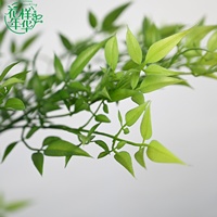 Arbre artificiel réaliste Nandina vert de 150 cm, résistant aux UV, en plastique écologique, pour la décoration intérieure, le jardin et l'aménagement extérieur