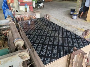 2025 Construction : Le fabricant fournit des coffrages noirs pour la construction, du contreplaqué et des bâtiments <span class=keywords><strong>de</strong></span> grande hauteur - Product Image 5