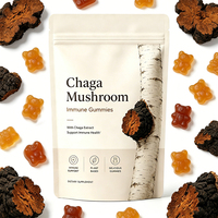 Gummies Chaga pour adultes, faibles en sucre, antioxydants et favorisant un métabolisme sain du glucose, marque privée OEM