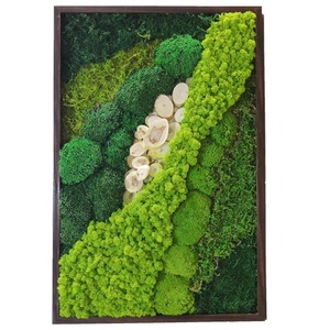 Décoration murale en mousse stabilisée en gros, mousse verte moderne, décoration murale stabilisée, mousse de renne - Product Image 1