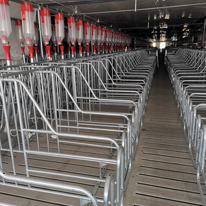 Sistema de Línea de Alimentación Automática de Precisión para Granjas de Cerdos |   Equipo para Alimentación de Ganado que Reduce el Desperdicio - Product Image 3