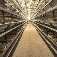 Cages à poules pondeuses automatiques de type H au design moderne pour fermes avicoles – Équipement avicole pour poules pondeuses