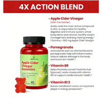 Bonbons gélifiés fonctionnels au vinaigre de cidre de pomme pour adultes, ODM OEM, multivitamines B12, niveaux d'énergie normaux, santé intestinale, 60 gommes